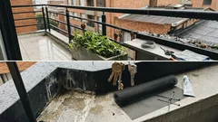 Llaves viejas en el balcón: el truco casero para alejar palomas (y cuándo conviene reforzarlo)